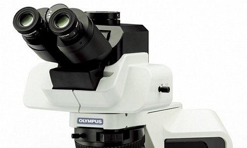 OLYMPUS BX46